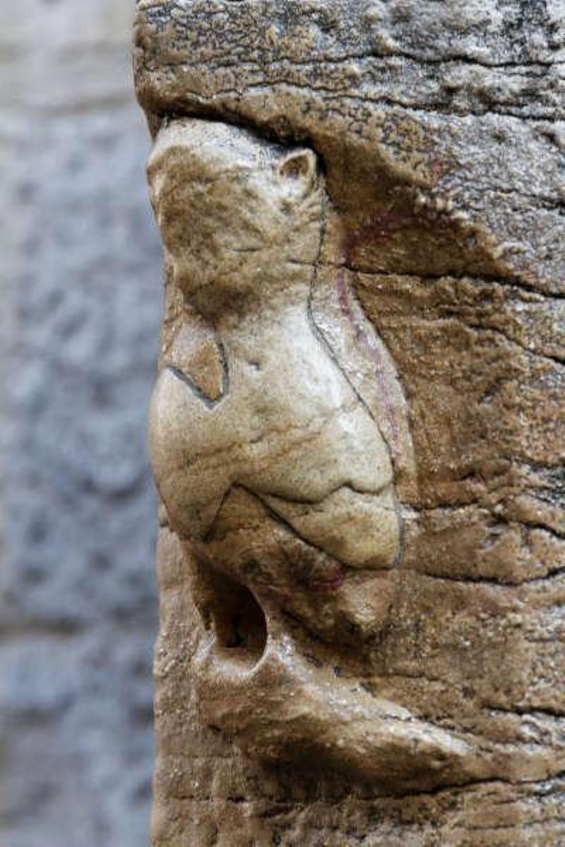 Détail d’une façade de cathédrale gothique française, avec des gargouilles et des sculptures complexes.